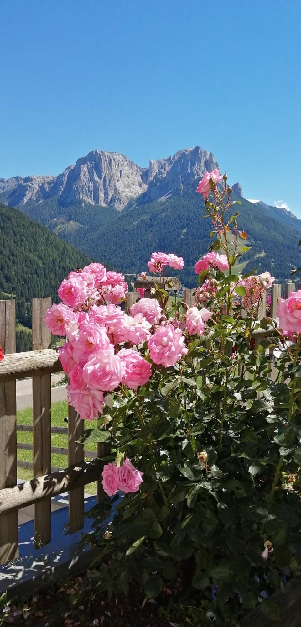 Muncion Pozza di Fassa